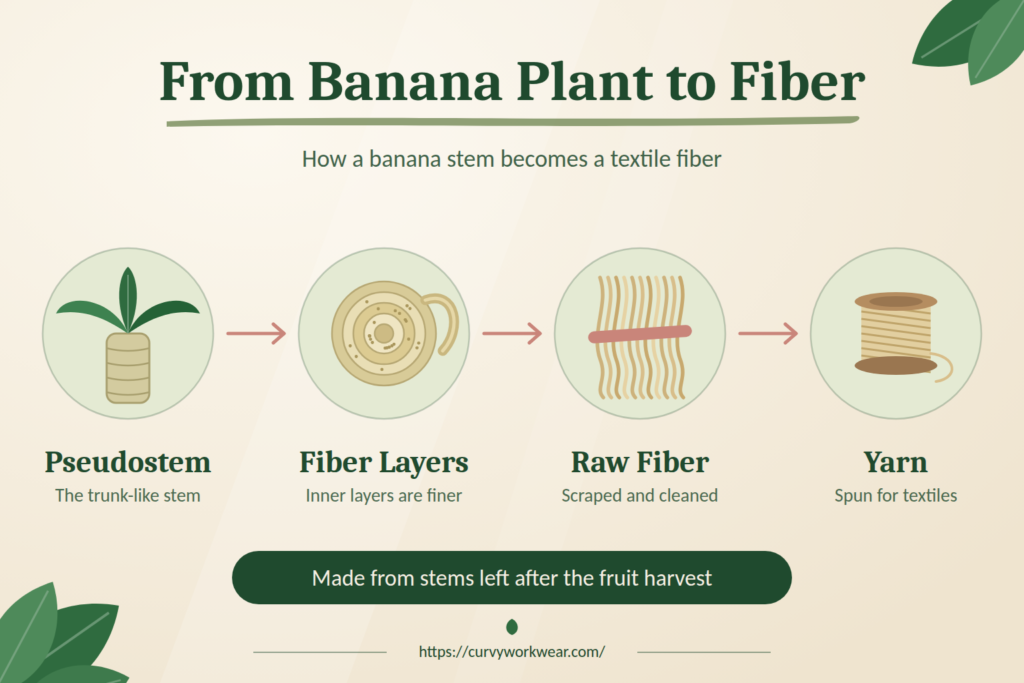 Banana plant pseudostem, fiber layers, raw fiber and yarn shown as stages of banana fiber production
