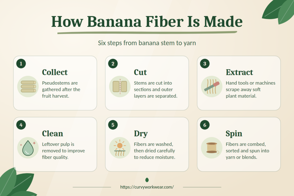 Six-step banana fiber production process from collecting stems to spinning yarn